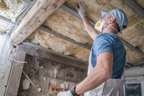 Best Best Insulation Companies  in Travilah, MD